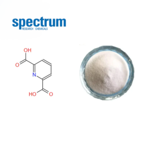 Pyridine-2,6-dicarbonzuur Kopen