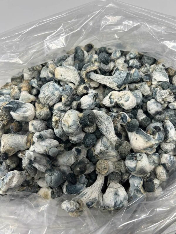 blue meanies shrooms